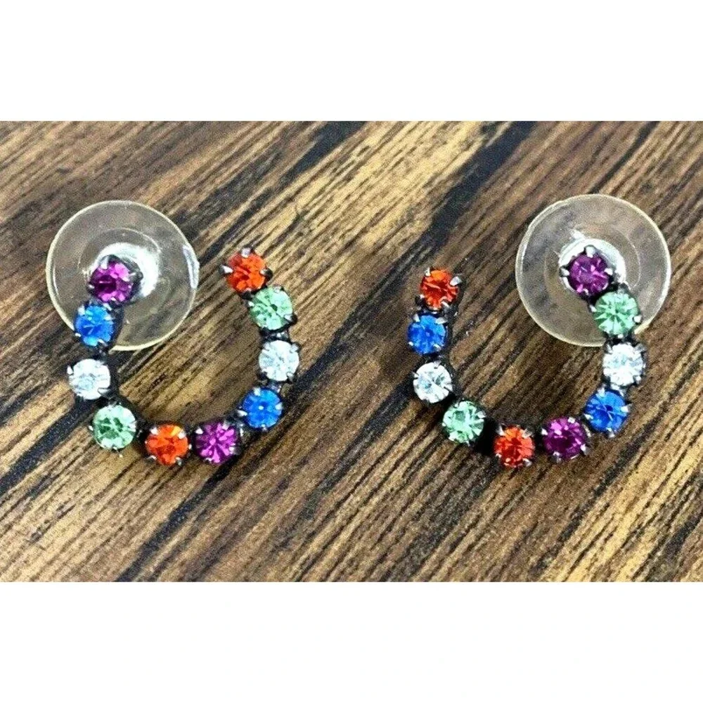 Horseshoe Hoop Multicolored Rhinestone Earrings Western Cowgirl Rodeo Chic